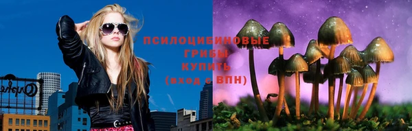 бошки Каменка