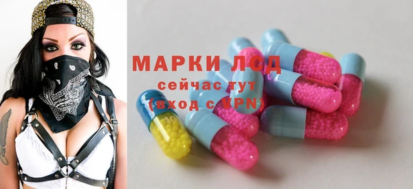 бошки Каменка