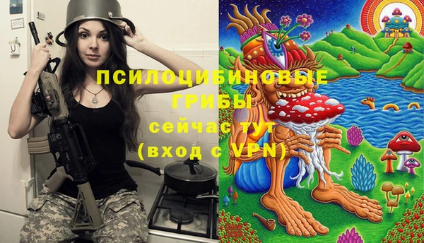 a pvp Каменск-Шахтинский